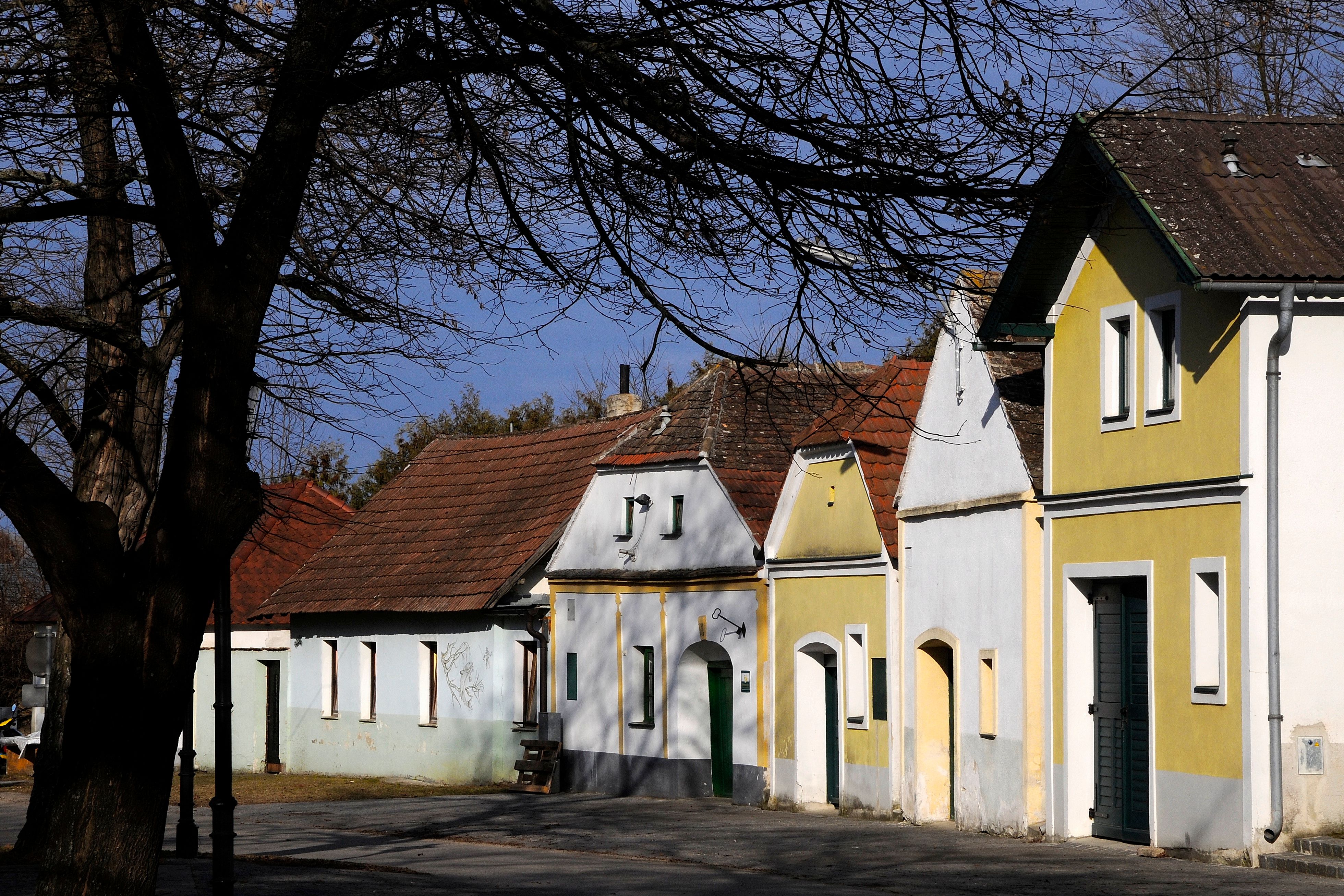 Rad tradičných vínnych pivníc v Vínnych uličkách Nappersdorf, obklopený holými stromami a modrou oblohou.