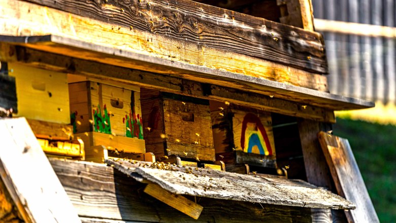 Farm's own honey and flower pollination, &copy; Einkehrhof Poggau