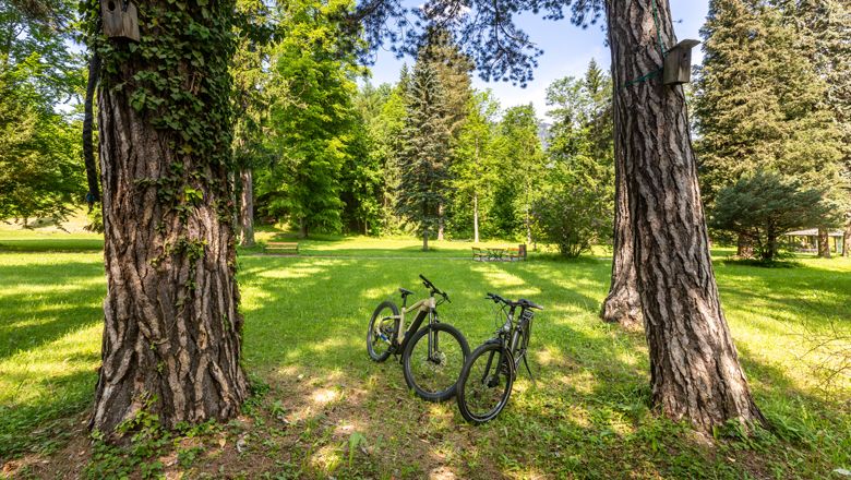 V parku sú medzi stromami zaparkované dva bicykle.