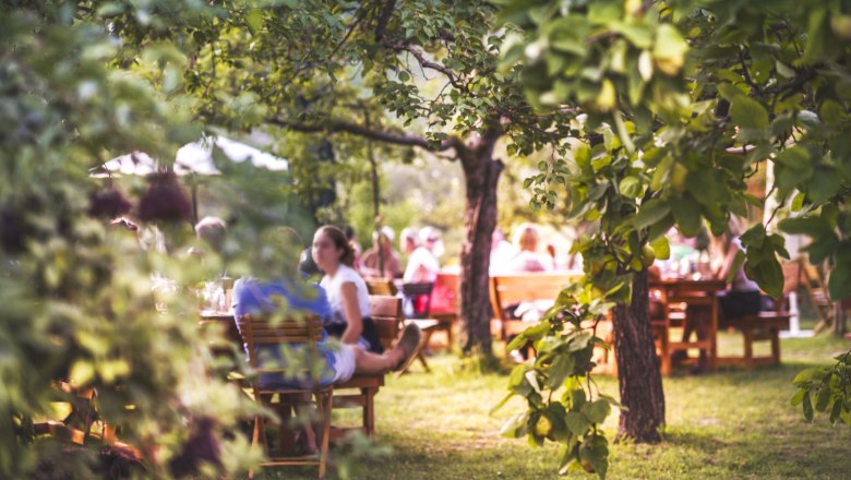 Wine tavern Polz guest garden, © Daniela Matejschek