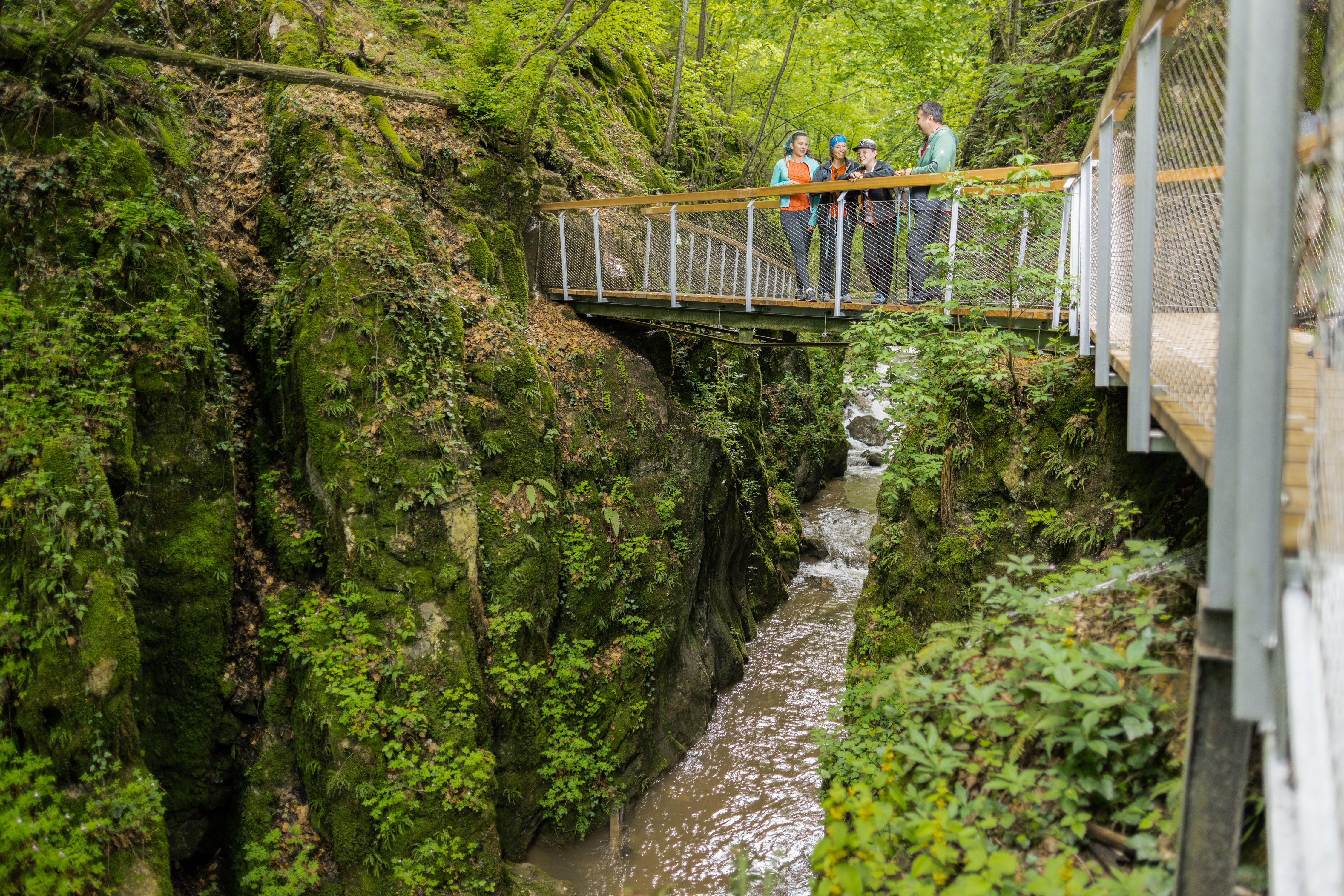 Mid_Res_FR_7520(c)GemeindeWürflach_Fülöp
