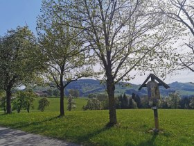 Križovatka R&ouml;ckling, &copy; Brigitte Hofschwaiger