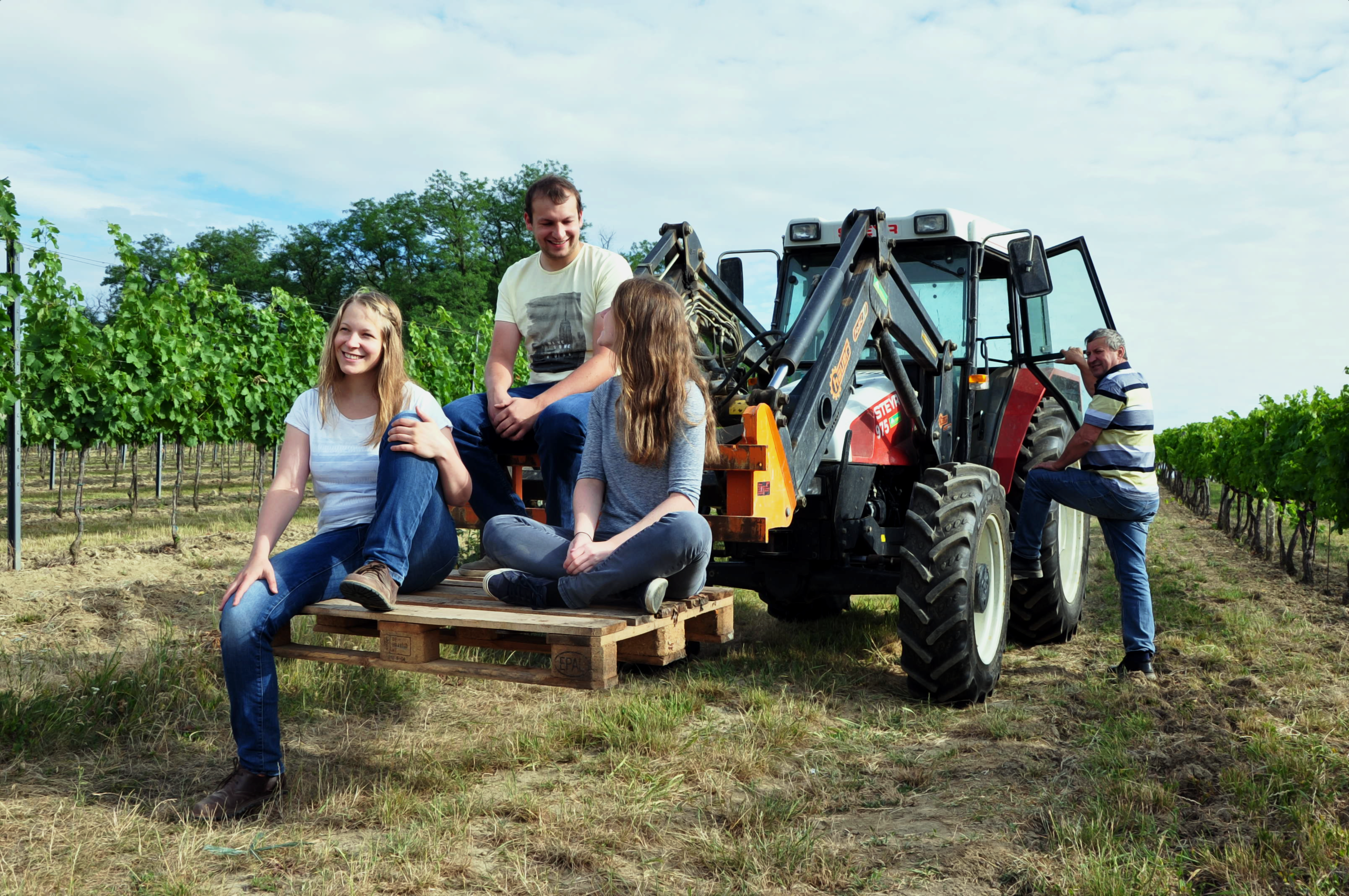 Štyria ľudia vo vinici pri traktore, traja sedia na palete, jeden sa opiera o traktor.