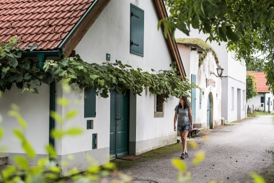 Pivničné uličky majú na jeseň zvláštne čaro. , © Claudia Schlager