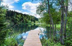 Letecký pohľad na moderný dom so zelenou strechou, obklopený lesom a jazerom.