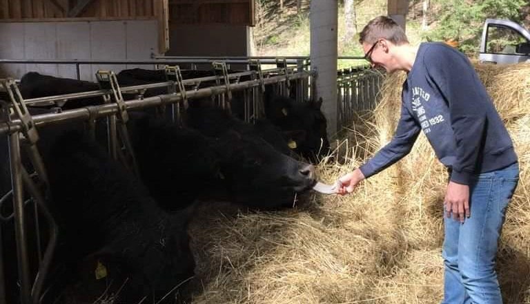 Organic Angus beef, © Manuela Toifl Organic Angus beef, © Manuela Toifl