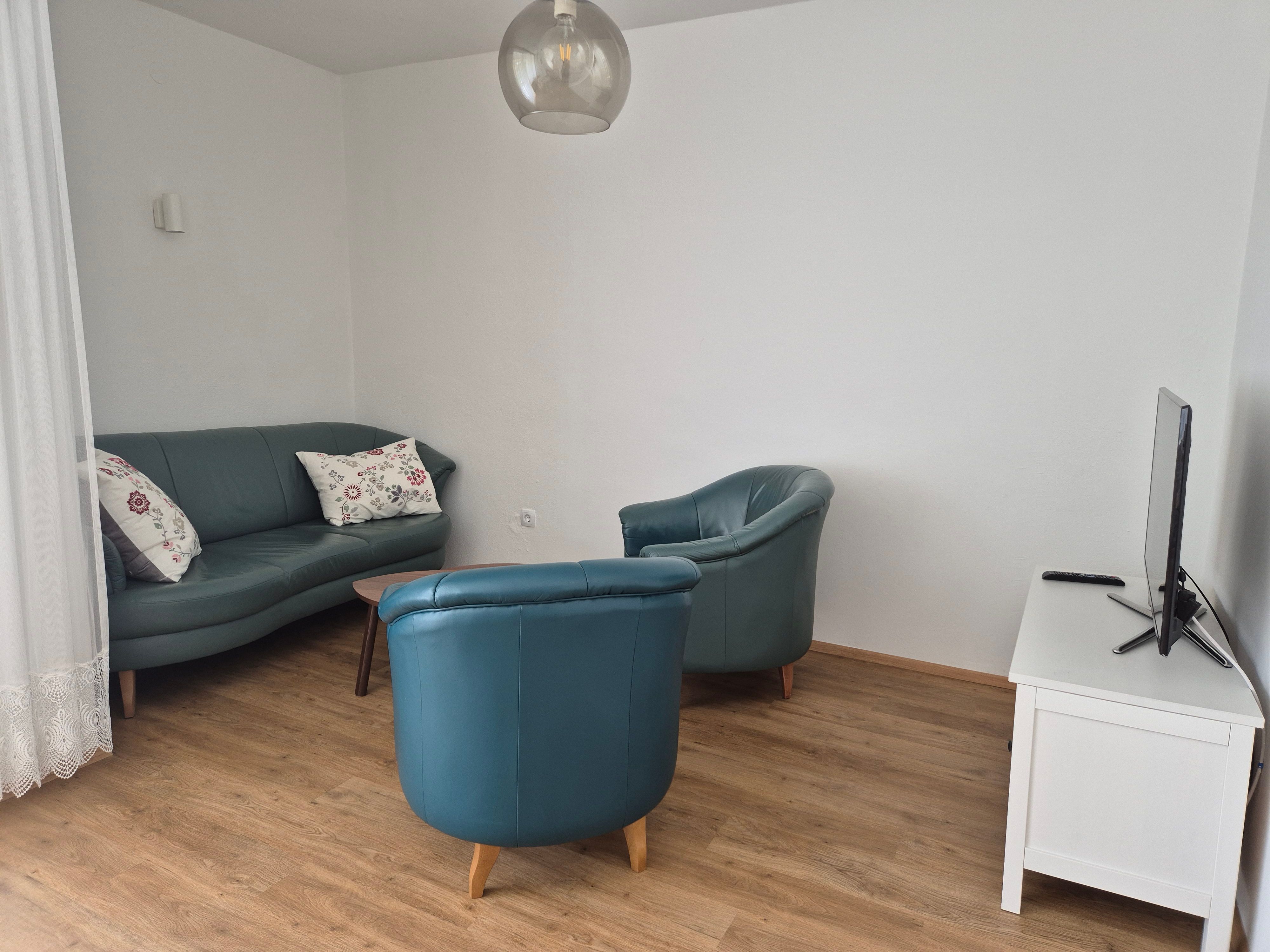 Obývacia izba s modrou pohovkou, drevenou podlahou a televízorom.