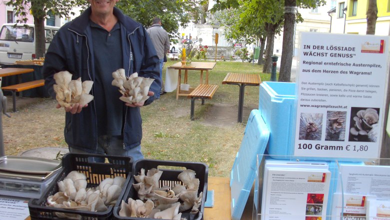 wag_lossiade-austernpilze-herr-schmit_c_martin-schmit, &copy; martin schmit