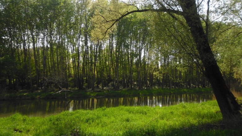 Stockerauer Au, &copy; Stadtgemeinde Stockerau