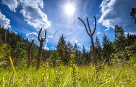 Tematick&aacute; stanica s dreven&yacute;mi fig&uacute;rkami