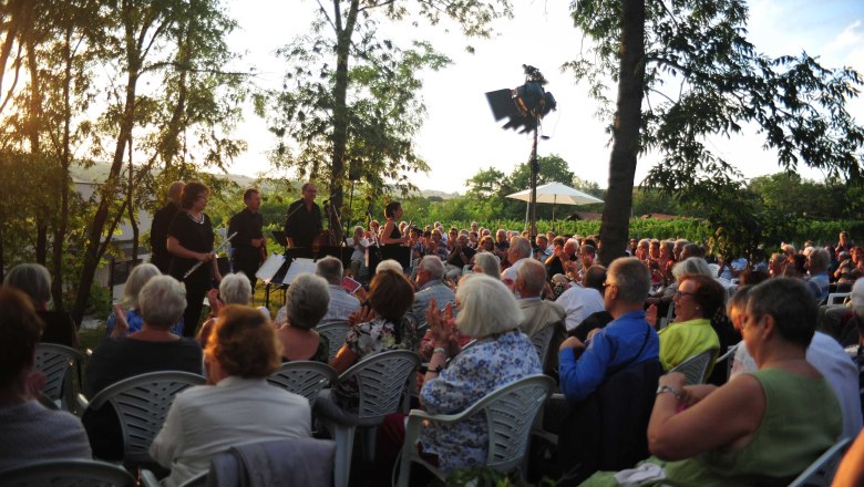 Pleyel Museum, concert, &copy; IPG