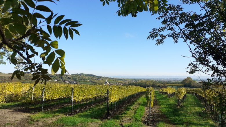 Mordthal view, &copy; Verena Schnatter