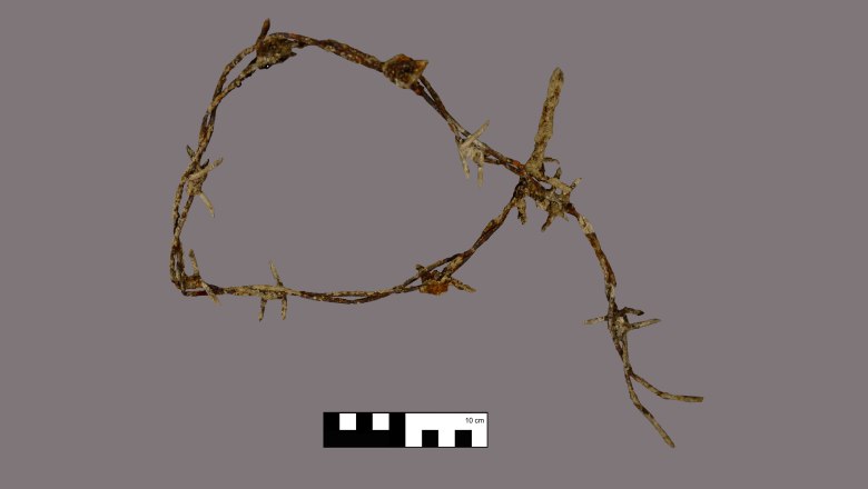 Barbed wire excavated in the camp area, STALAG XVII B, © ASINOE GmbH