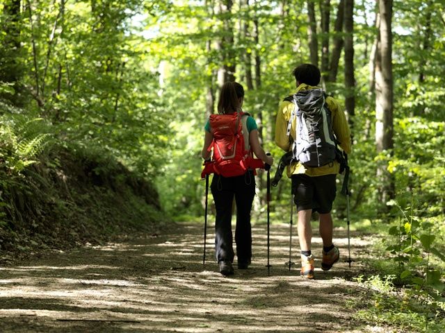 Turistika v Buckelige Welt