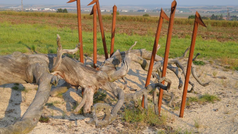 Veltlinerland tree circle, &copy; StadtGemeinde Mistelbach / Mag. Mark Sch&ouml;nmann