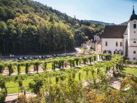 Charterhouse Aggsbach so z&aacute;hradou, &copy; Donau N&Ouml; Tourismus/Daniela Matejschek