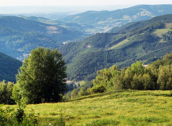 Muckenkogel, © weinfranz.at