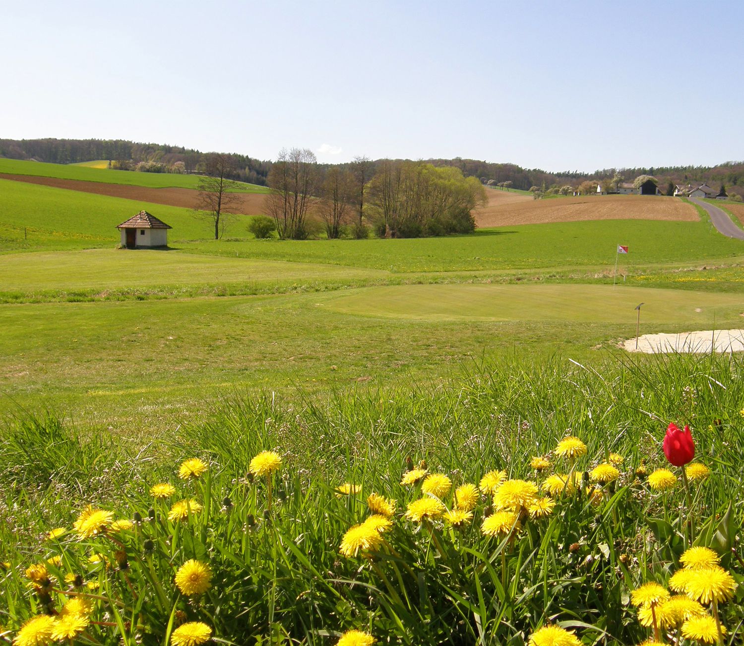 Golfové ihrisko s kvetmi v popredí a vlajkou na greene.