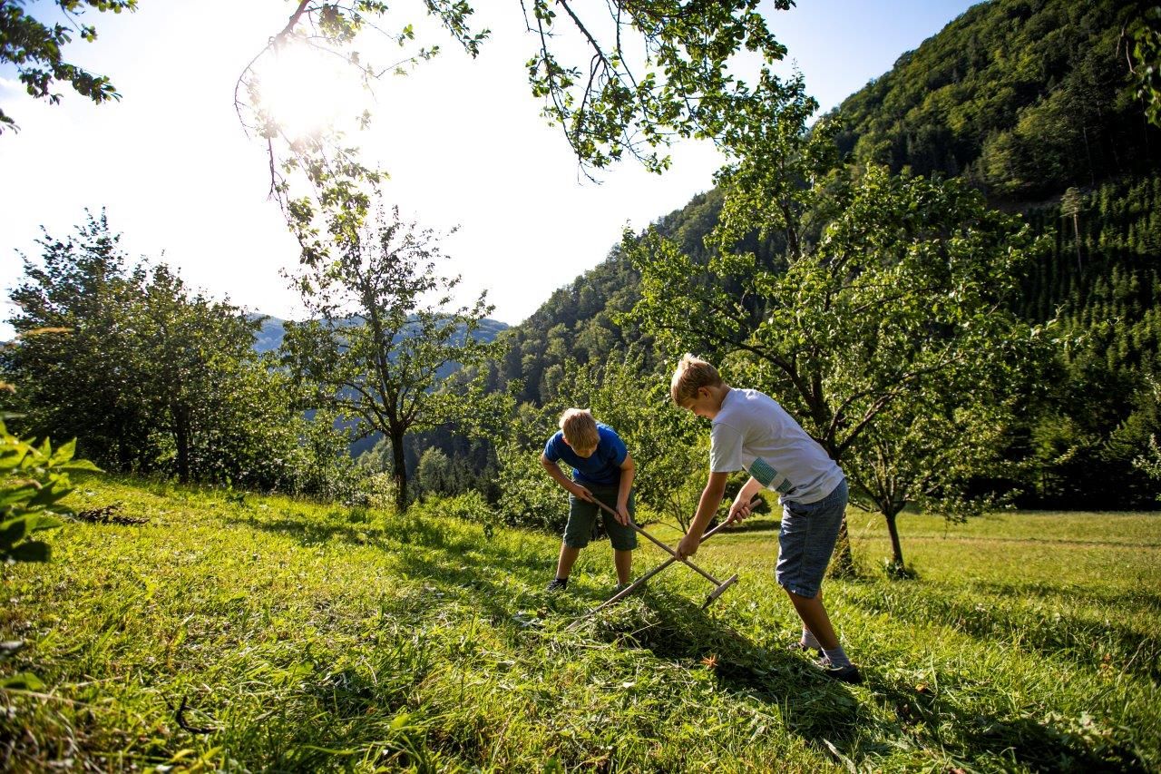 Dovolenka v Zwergerlhofe