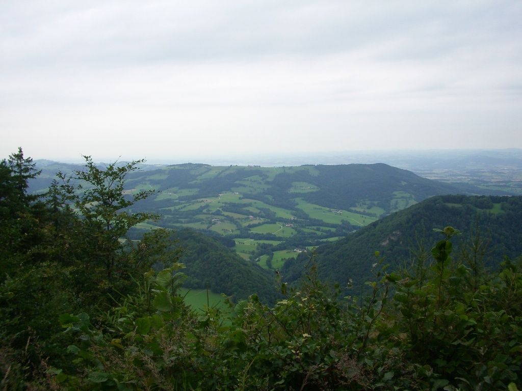 Výška Ginsel
