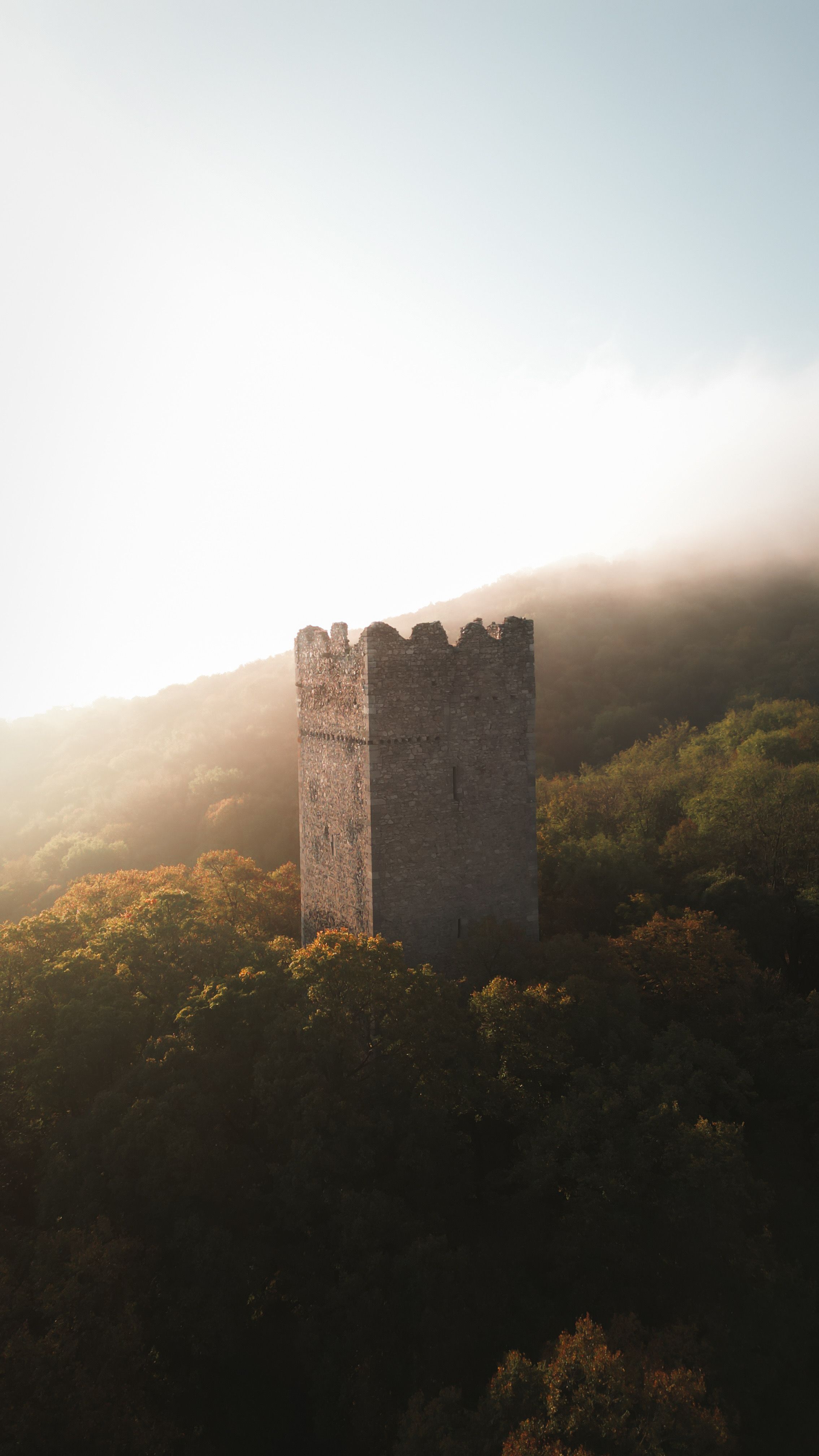 Veža hradu v lese - Pottenburg