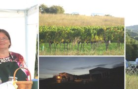 Our stand at the Genussmeile 2014, &copy; K.Berger2014