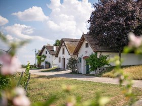 RCM, H&ouml;flein, Kellergasse H&ouml;flein, Sommer, Robert Herbst, &copy; Robert Herbst