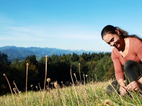 Elsbeerweg zur Gf&ouml;hlbergh&uuml;tte, &copy; wf-Fotos: weinfranz.at