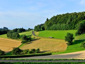 Felder- und Wiesenlandschaft bei Benking, &copy; Naturparke N&Ouml;/Herbst Robert