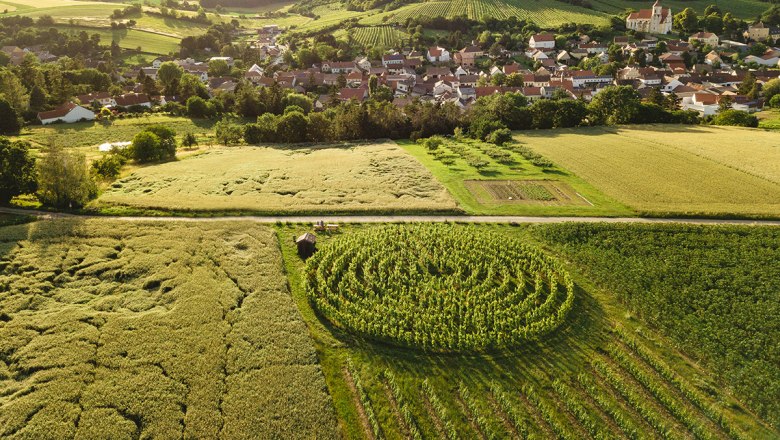Pleasure stop at the vineyard labyrinth, &copy; Michael Reidinger