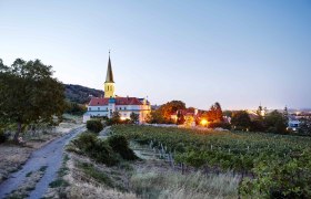 vínna jeseň vo Viedenskom lese, © Hauke Dressler