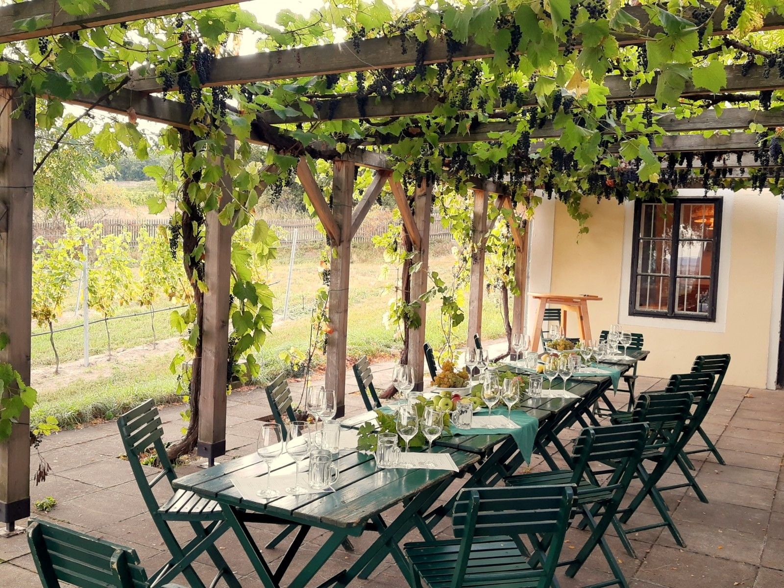 Stôl pod pergolou s viničom.