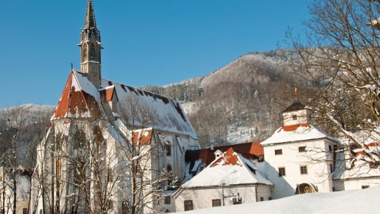 Kartuzi&aacute;nsky kl&aacute;&scaron;tor Gaming, &copy; zVg