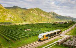 Die sanften Hügel, bedeckt mit üppigen Weinreben, laden zu einem entspannenden Ausblick ein. Ein Zug gleitet gemächlich entlang der Gleise, während die Natur in voller Pracht erblüht und die ruhige Atmosphäre des Sommers in den Bergen spürbar ist.
