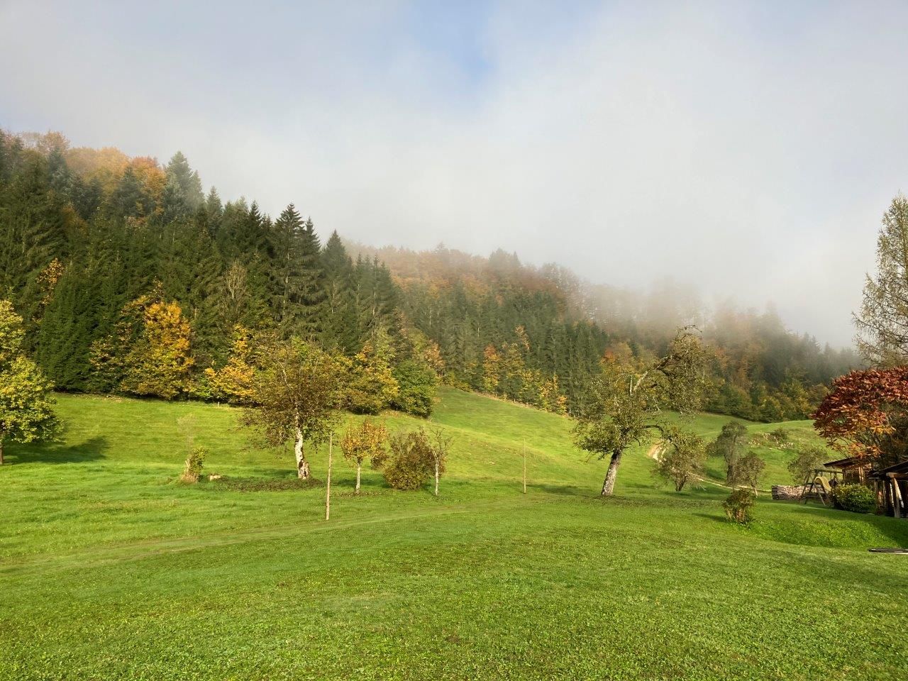 priestranná-záhrada-v-pred-domom-na-dovolenku
