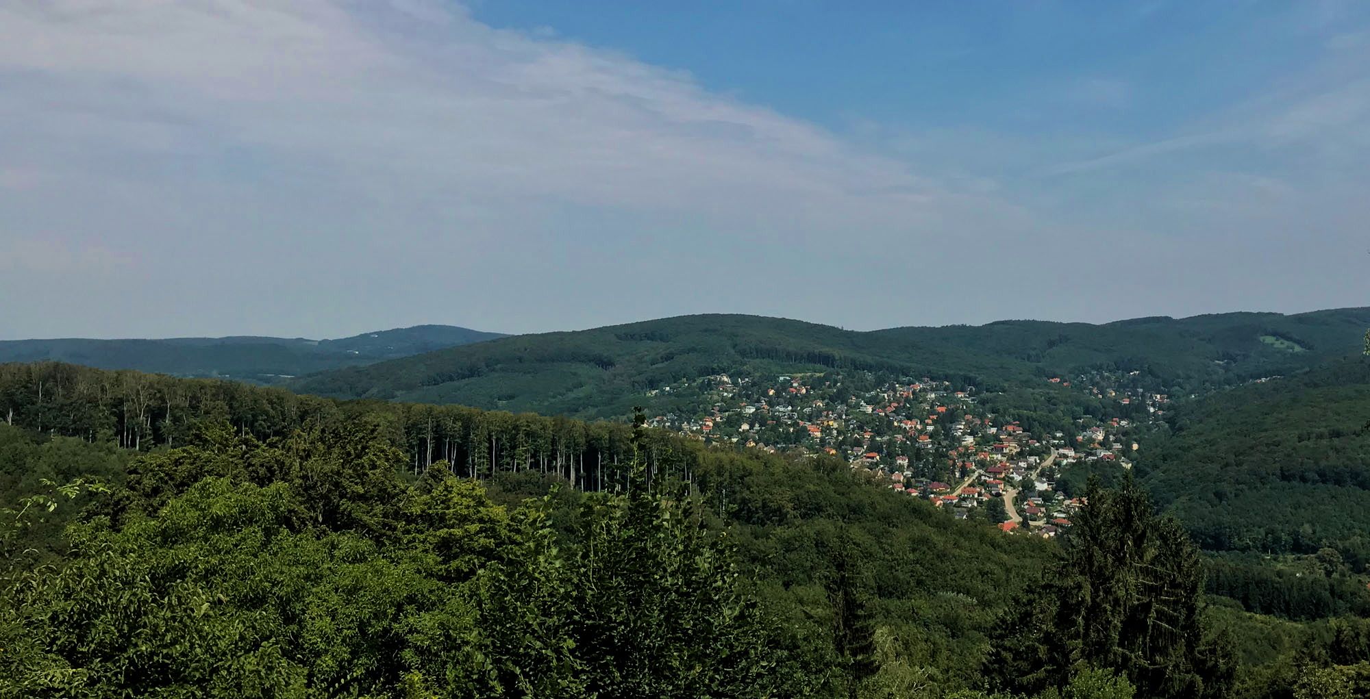 Viedenský les Steinbachtal