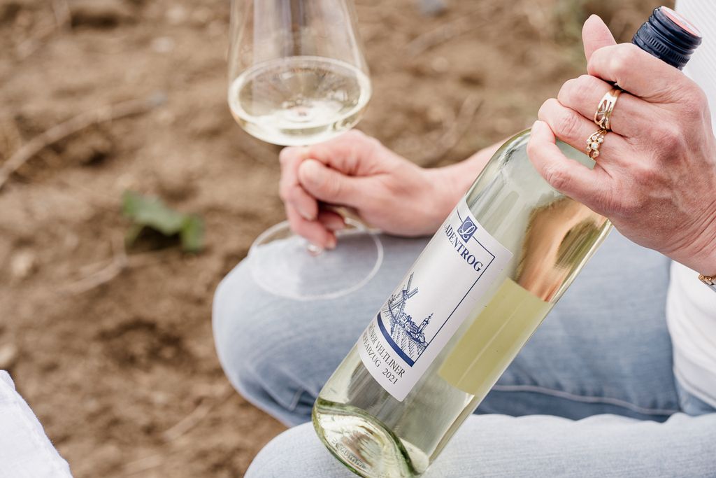 Osoba držiaca fľašu bieleho vína a pohár na víno.