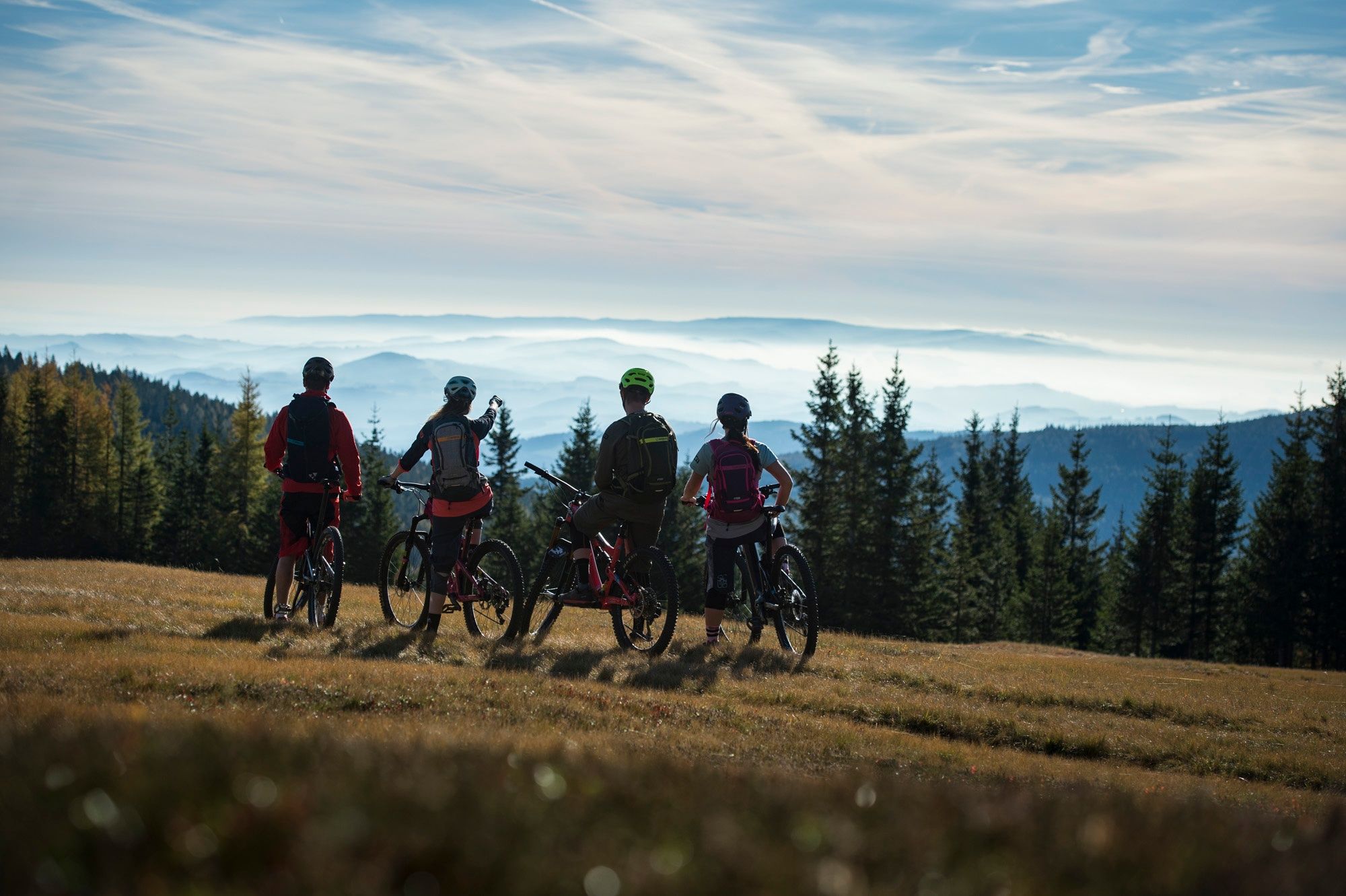 Haller Trail by Wexl Trails #15a