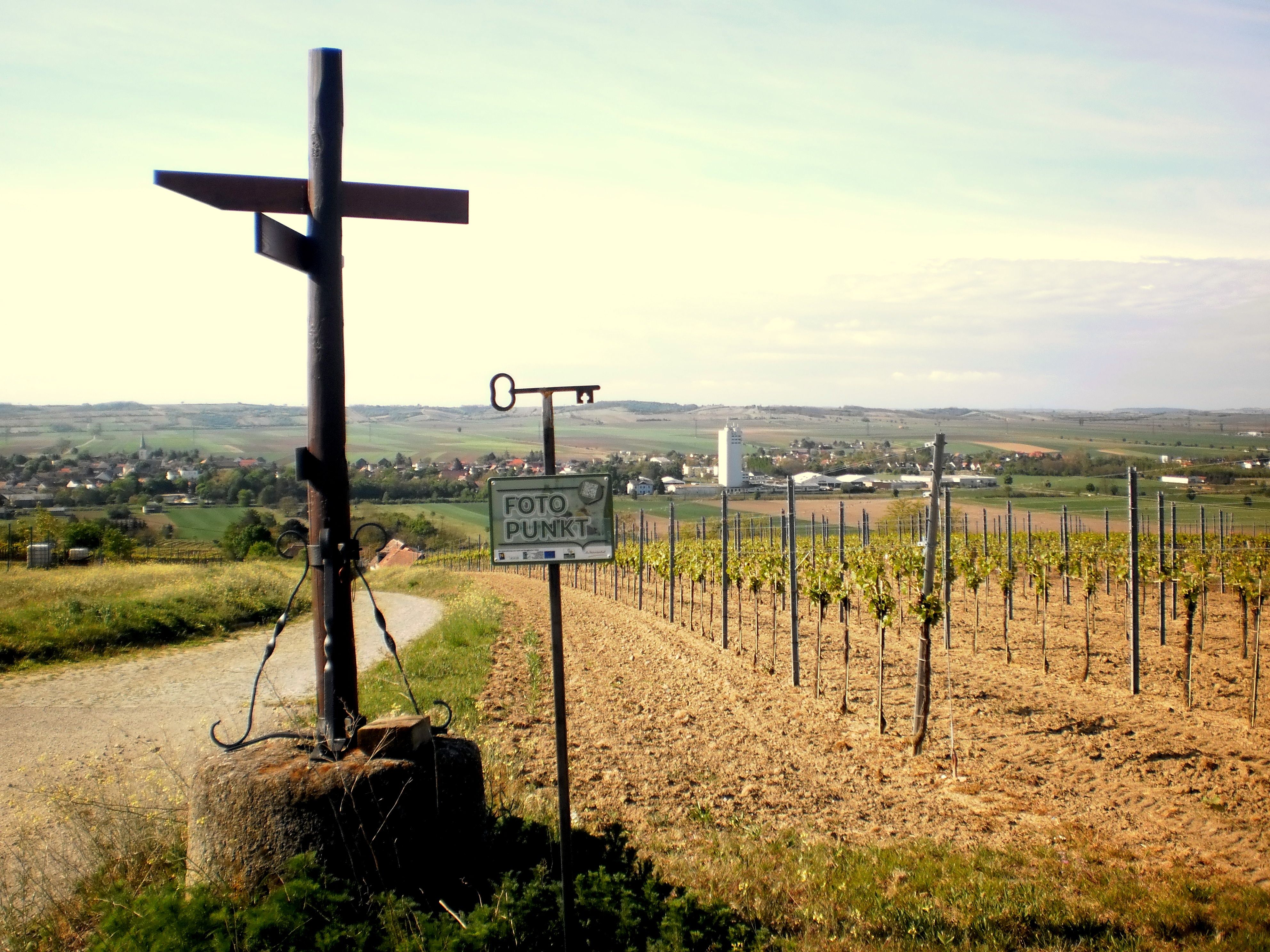 Pohľad na Haugsdorf s vinohradmi a značkou fotopointu v popredí.