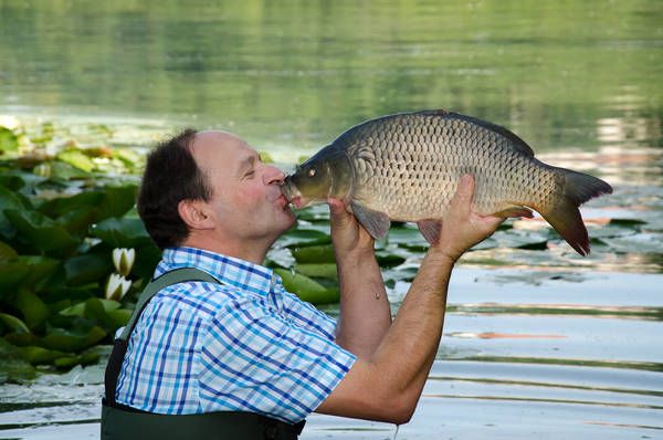 Muž bozkáva kapra na brehu jazera s leknami.