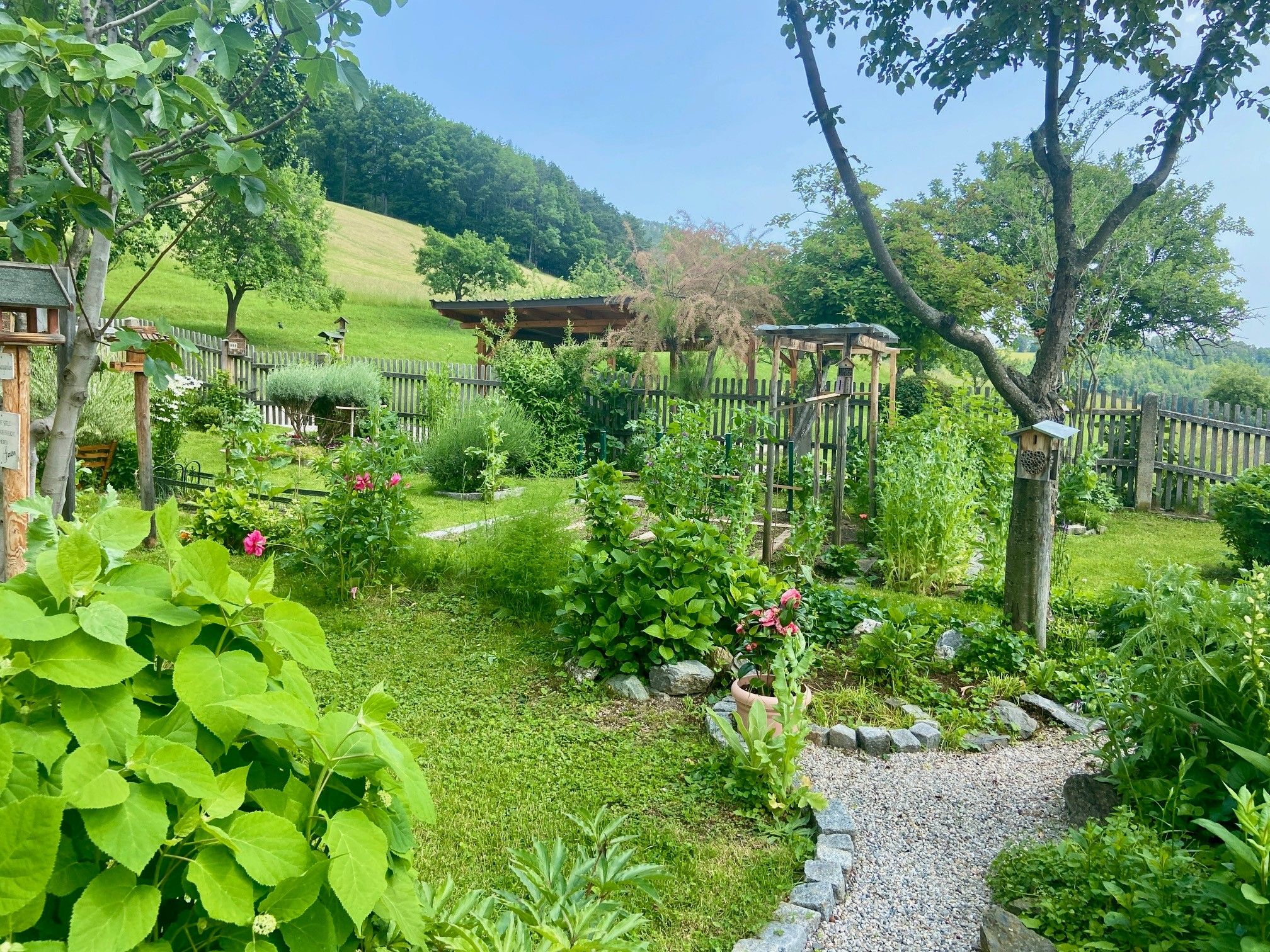 Udržiavaná záhrada s kvetmi, stromami a štrkovou cestou, obklopená dreveným plotom a zelenou lúkou v pozadí.