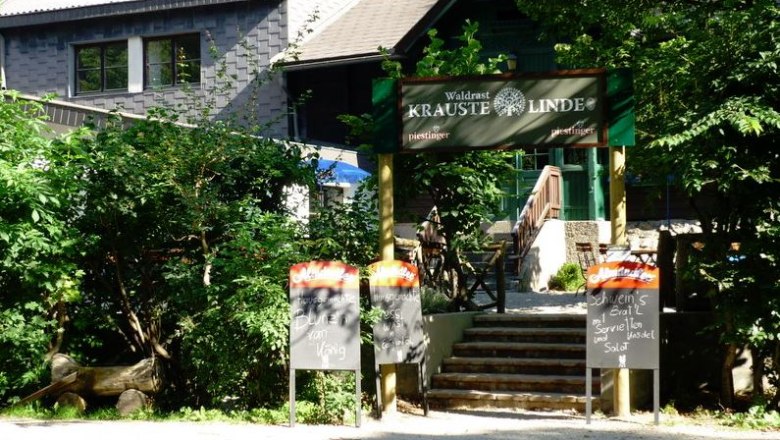 Waldrast curly lime tree, &copy; Waldrast Krauste Linde