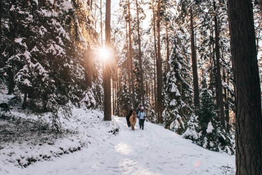 Pusťte laná! Zimná turistika s chlpatými kamošmi., © Waldviertel Tourismus/sommertage.com