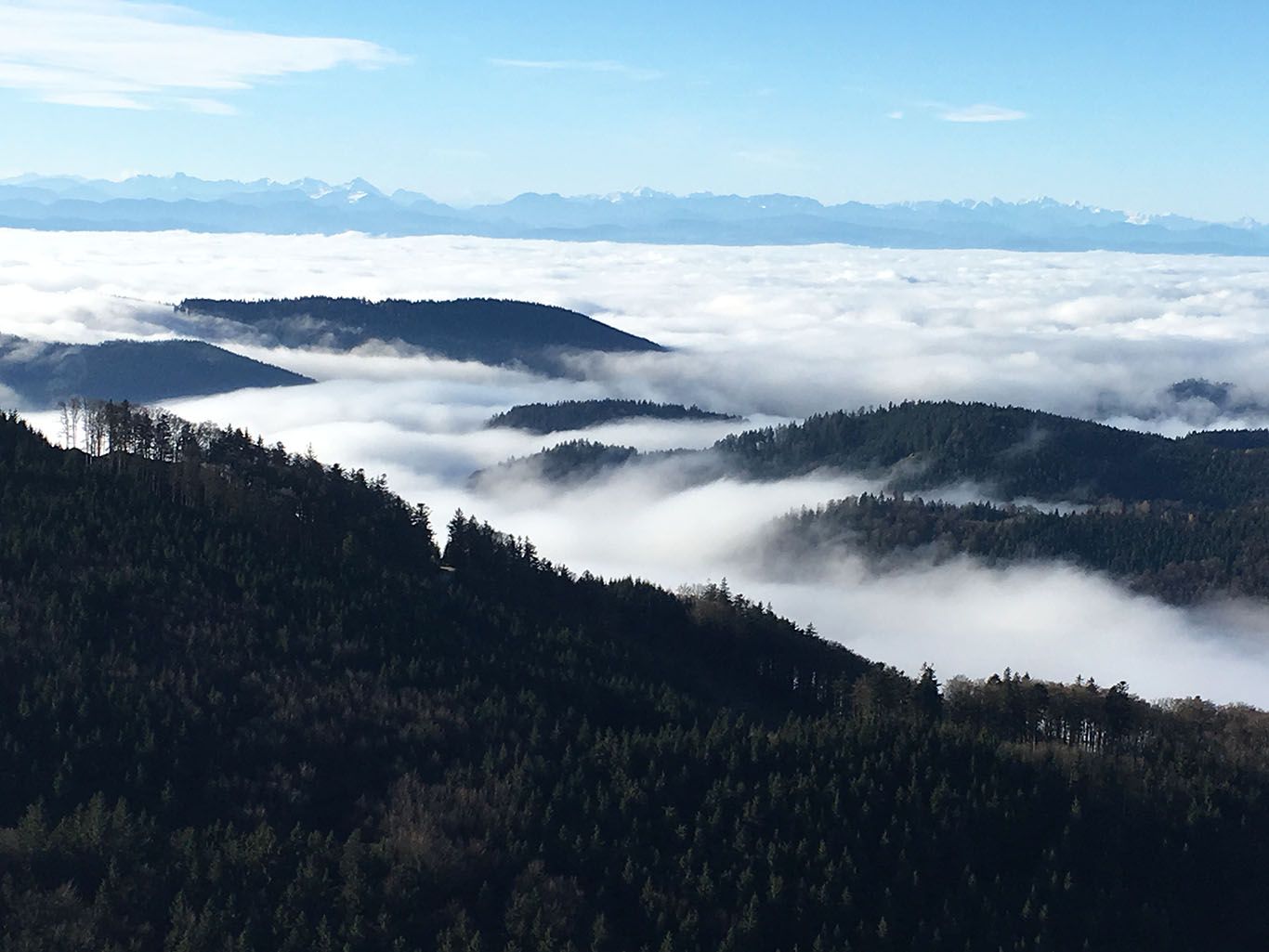 Pohľad z hory na zalesnené kopce a more oblakov s Alpami v pozadí.