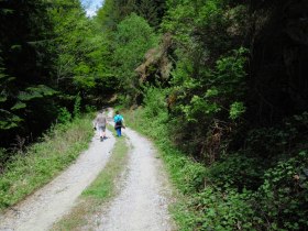Bergab zum Höllbach, © Unknown