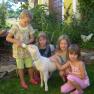 Children with goat, &copy; Kerndlerhof