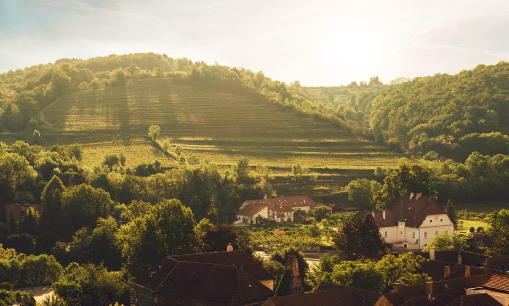 Vinárstvo v kopcovitej krajine s vinicami a budovami v slnečnom svetle.