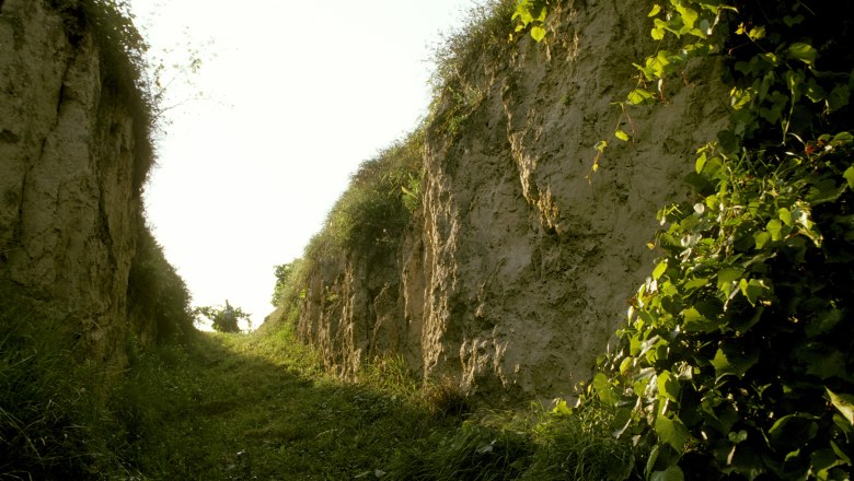 &Uacute;zka, tr&aacute;vnat&aacute; cesta medzi vysok&yacute;mi, zemit&yacute;mi m&uacute;rmi s veget&aacute;ciou.