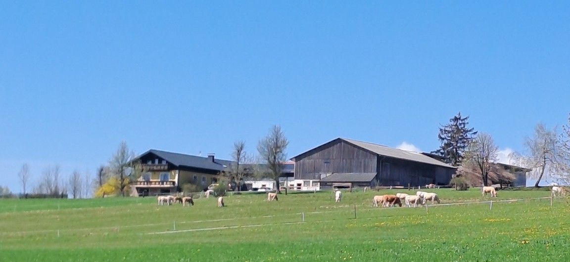 Ekologická farma Stieger