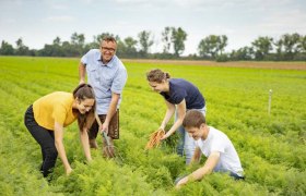 A visit to the Michaelerhof, &copy; Schwarz-K&ouml;nig und Sinzinger